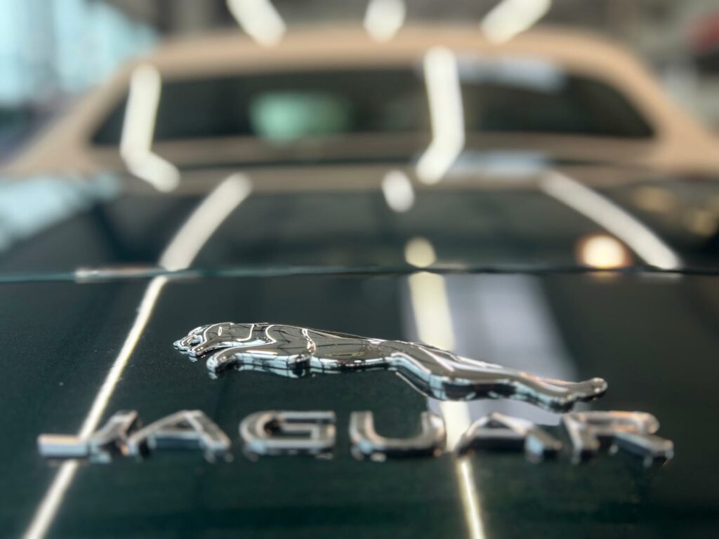 JAGUAR F-TYPE CABRIOLET 2.0T 300 R-DYNAMIC